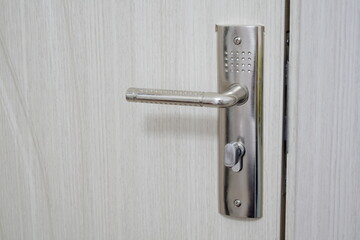 Door handle and lock