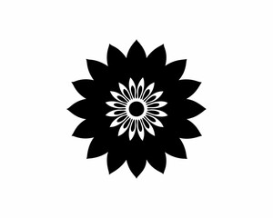 creative details Gaillardia Blanket Flower Icon vector illustration