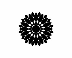 creative details Gaillardia Blanket Flower Icon vector illustration