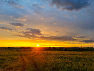 Obraz premium sunset over the field