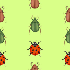 Vector seamless pattern with insects. May bug, cockchafer , rose chafer, green beetle and lady bug on a green background.