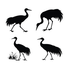 Crane walking standing eating animal silhouette vector art style illustration black on white background