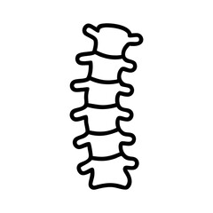 Spine vector icon