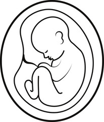 Fetus | fetal development vector 