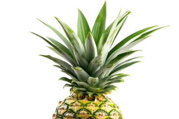 Fototapeta premium A vibrant pineapple with lush green leaves sitting against a bright white background isolated on transparent background
