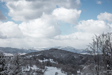 Winter panorama of snow-covered mountains and evergreen forests under a cloudy sky with hints of blue, showcasing a vast, serene natural landscape.