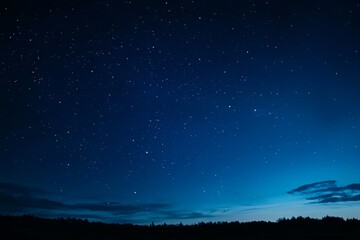 Starry Night Sky Over Forest