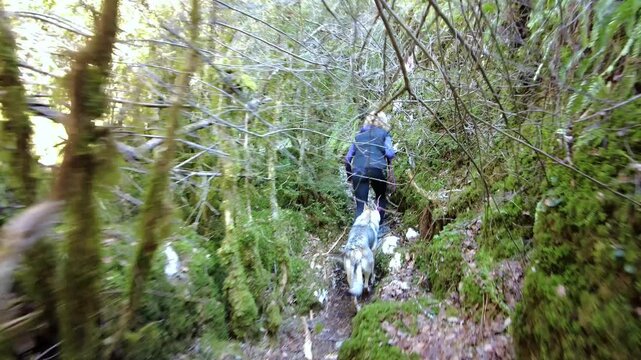 Woman hiking with dog in lush green forest