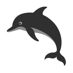 Dolphin silhouette vector illustration