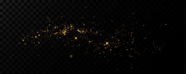 
Shimmering golden dust particles. Bright dust light. Glitter decoration.