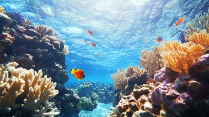 Naklejka premium Exploring Coral Reef Underwater with Tropical Fish and Sunlit Ocean Surface