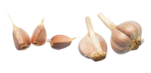 garlic isolated on white