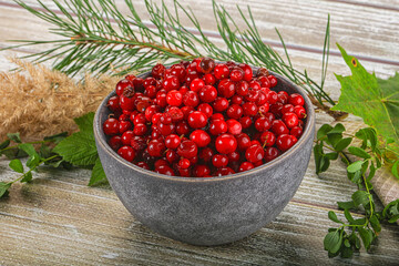Natural organic wild forwst lingonberry