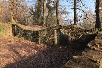 Blick auf die Burg Rodenberg am Kapellenberg in Menden im Sauerland