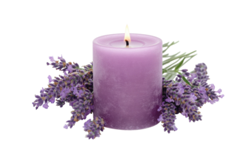 Serene lavender candle surrounded by fresh lavender blooms for a calming atmosphere isolated on transparent background