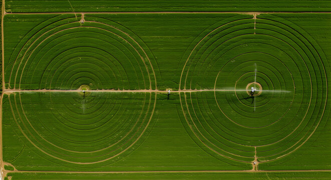 Aerial view of circular irrigation patterns in lush green agricultural fields