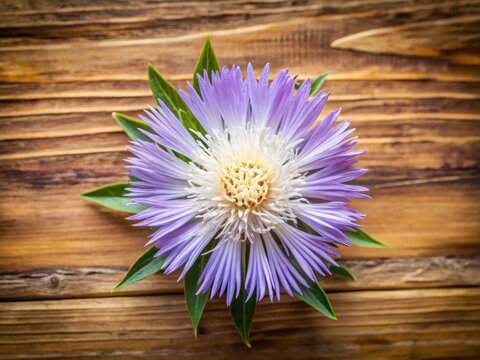 Stokesia laevis Flat Lay, Bird's Eye View, Tilt-Shift Photography, Wooden Background, Clean Aesthetic