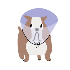 Cute cartoon retro dogs and puppies vector collection. Different breeds pet. Funny dog characters. Poodle, boston terrier, english bulldog, terrier, pug