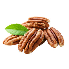 pecan, nut, isolated on png transparent background, full depth of field