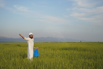 A traditional farmer dressed in white manually spreads fertilizer in a lush green wheat field, promoting healthy crop growth.