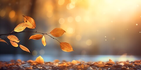 Autumn leaves falling on the ground in a forest with sunlight, a beautiful autumn background.\