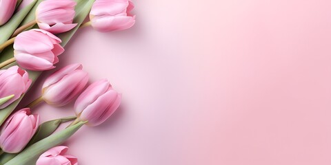 Beautiful pink tulips on a pastel background with copy space, top view. Floral greeting card for 