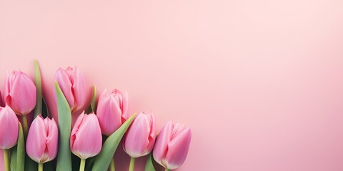 Beautiful pink tulips on a pastel background with copy space, top view. Greeting card for Women's 