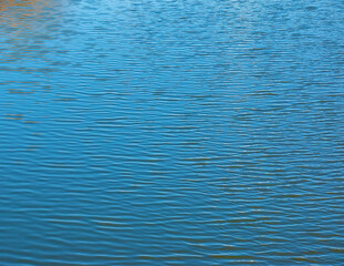 Water, ripple and nature with environment river or ocean with waves, calm and closeup. Natural background.