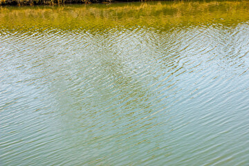 Water surface at sunset, ripples of river or ocean, calm and close-up. Natural background. Abstract background, texture.