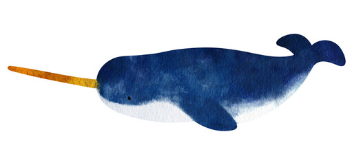 Watercolor Narwhal children's book style illustration © YouStore