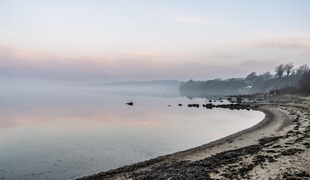 Serene Fjord View at Dawn with Calm Water and Bare Trees, Daugaard, Denmark