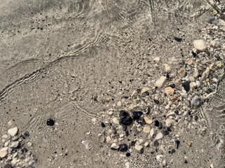 natural contrast between sand and stones under shallow water with sunlight reflections. abstract beach texture. visual texture. crustal clear water