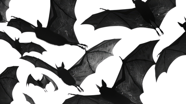 Night Flight: A monochrome depiction of bats in full flight, capturing their silhouettes against the backdrop. Evoking a sense of mystery and nocturnal activity.