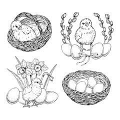 Set of hand drawn vector Easter illustrations with chickens, eggs, baskets, blooming narcissus flowers and pussy willow. Monochrome ink line art collection on black background.