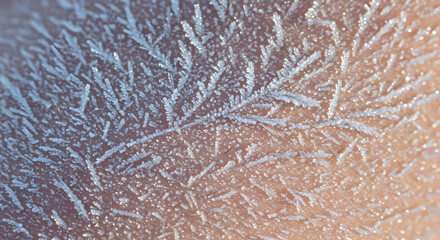 Frozen fractal formations create an icy artistic skin pattern on the surface