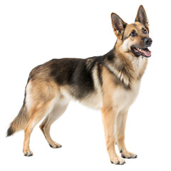 German Shepherd Mix AI Generated Image