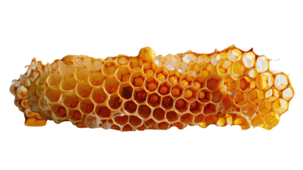 Honeycomb: A macro shot of a perfectly formed honeycomb, capturing its intricate hexagonal pattern and the golden color, is a testament to nature's design.