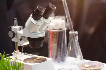 Microscope and plant seeds on a table in a laboratory