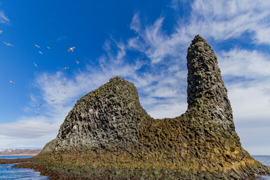 A view of sea cliffs and stacks in the Langanes peninsula in the northeast part of Iceland