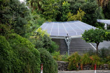 Solar panels in middle of lush green nature, green energy