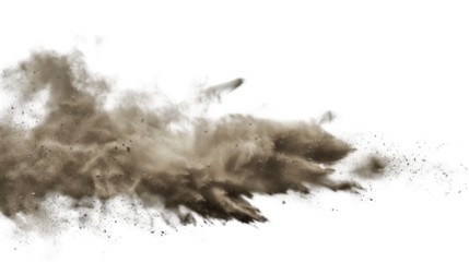 The Dynamics of Dust: Witness the ephemeral beauty of a swirling cloud of fine dust, captured in a moment of explosive motion, creating a captivating and abstract image