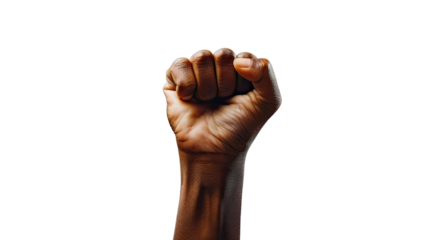 Strength in Unity: A clenched fist rises in a gesture of solidarity and resilience, capturing the essence of power, determination, and the fight for equality.