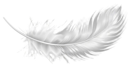 Serene Feather: A single, pristine white feather floats gracefully, its delicate barbs catching the light, symbolizing lightness, freedom, and purity.
