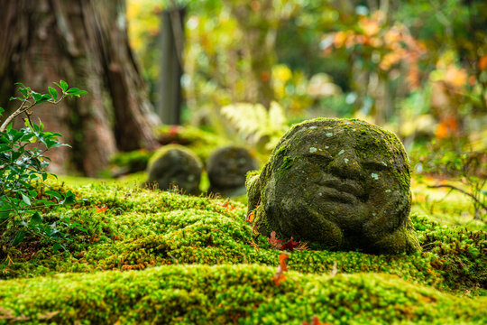 Stone statue in lush forest garden, surrounded by ferns and foliage near Sanzen-in Temple, Ohara, Kyoto, Honshu