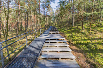 Fototapeta premium Wooden path in the forest.