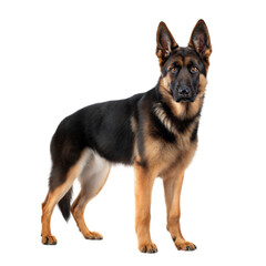 German Sheppit AI Generated Image