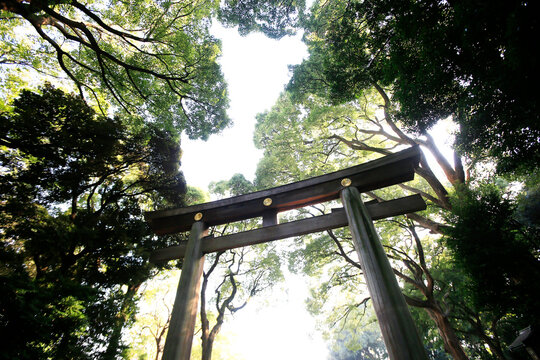 Gate of the Meiji Jingu, one of the main Shinto shrines in Tokyo, Honshu