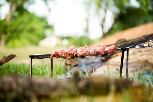 meat on the grill