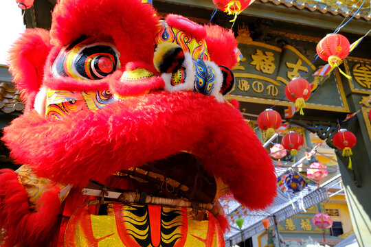 Phuoc Long Buddhist pagoda, traditional Chinese lion dancing, celebrating New Year, Tan Chau. Vietnam