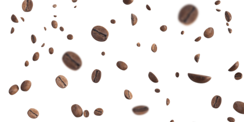 Coffee bean falling background. Black espresso coffee bean flying on white